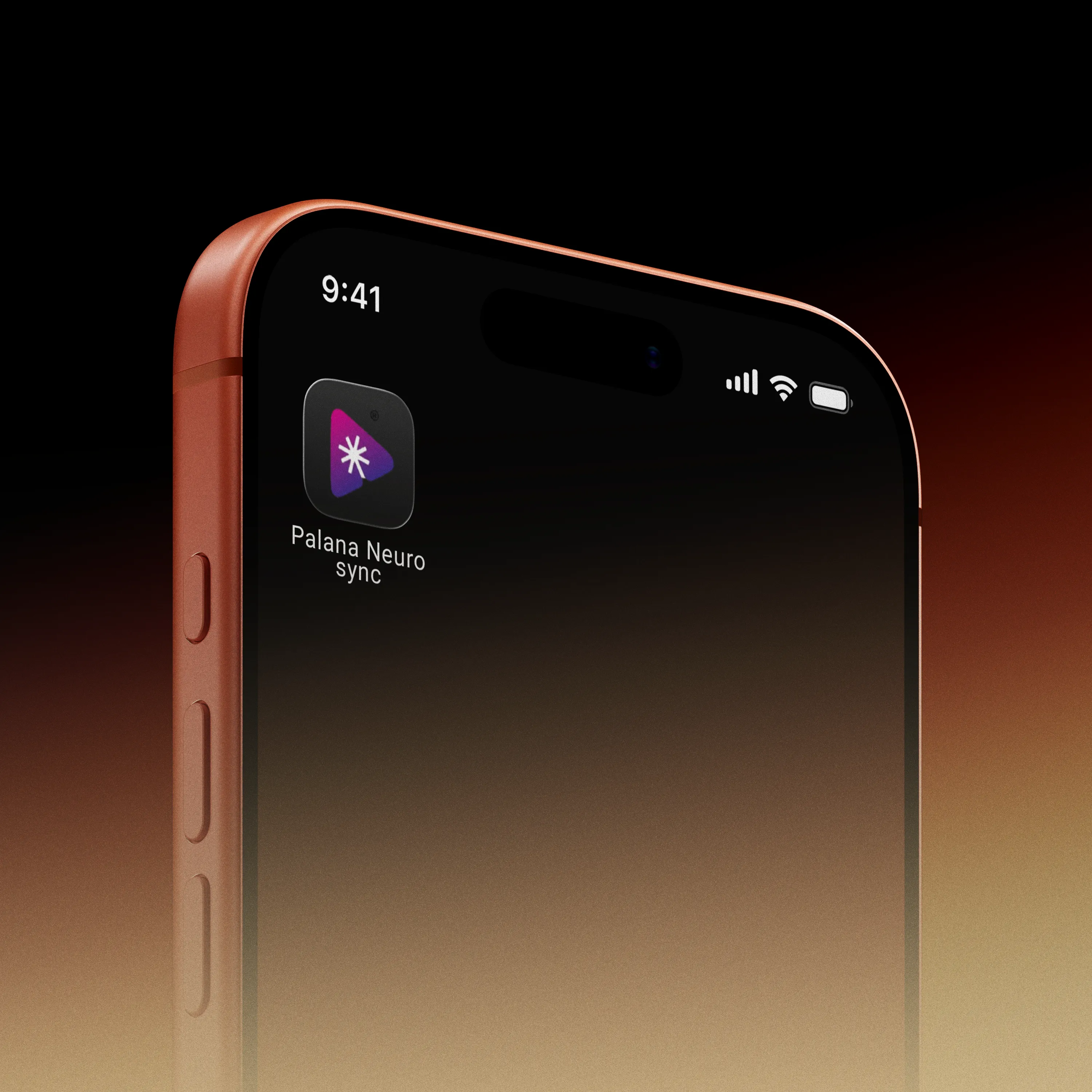 Palana Neurosync Gallery